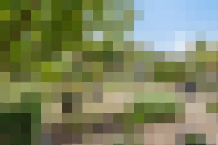 de Meren 1026 Wijchen thumbnail 23