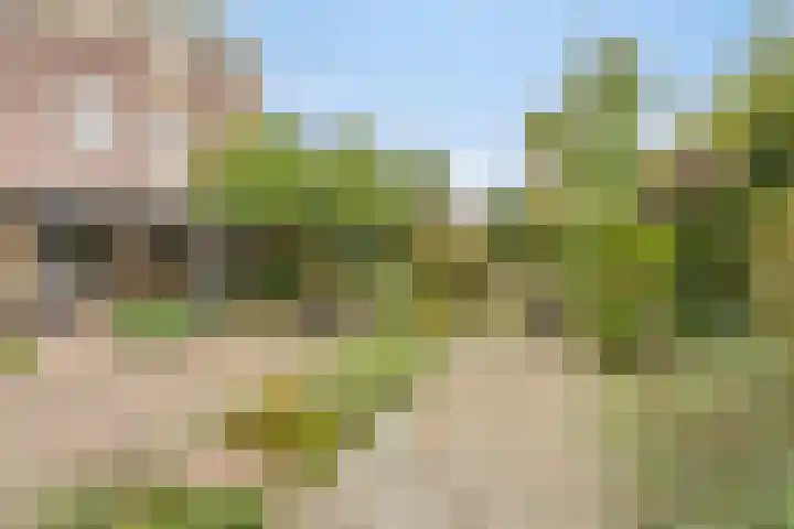 de Meren 1026 Wijchen thumbnail 24