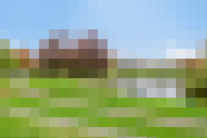 de Meren 1026 Wijchen thumbnail 30