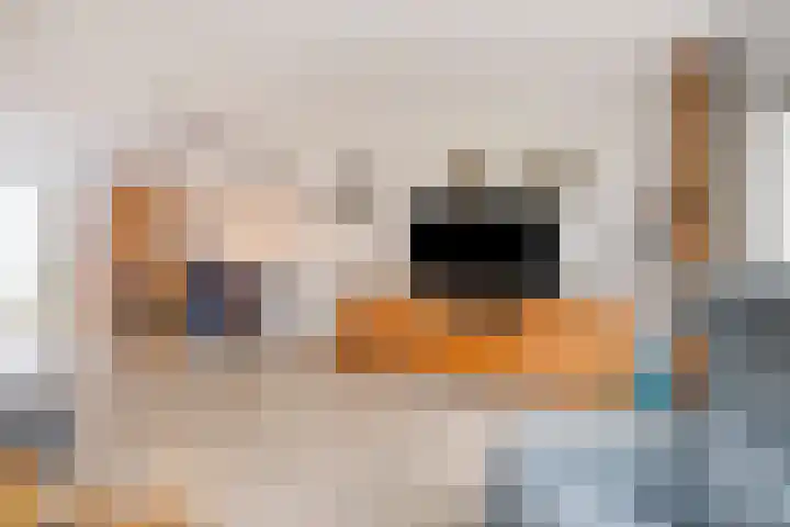 de Meren 1026 Wijchen thumbnail 5