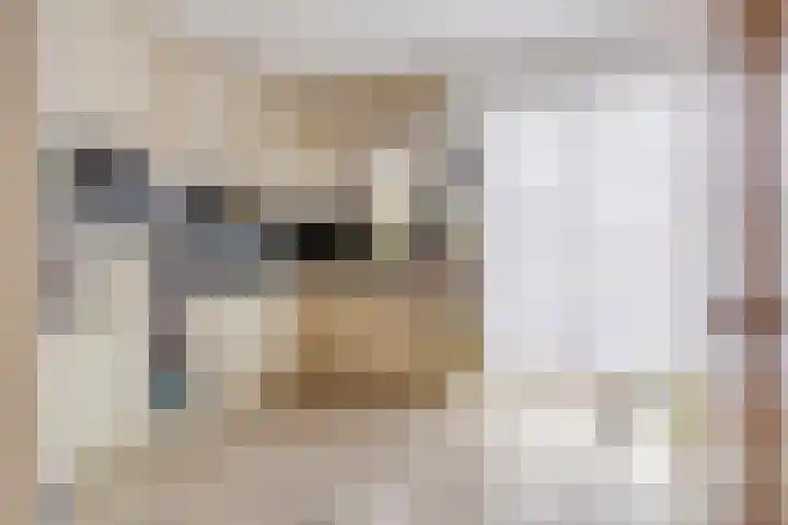 de Meren 1026 Wijchen thumbnail 7