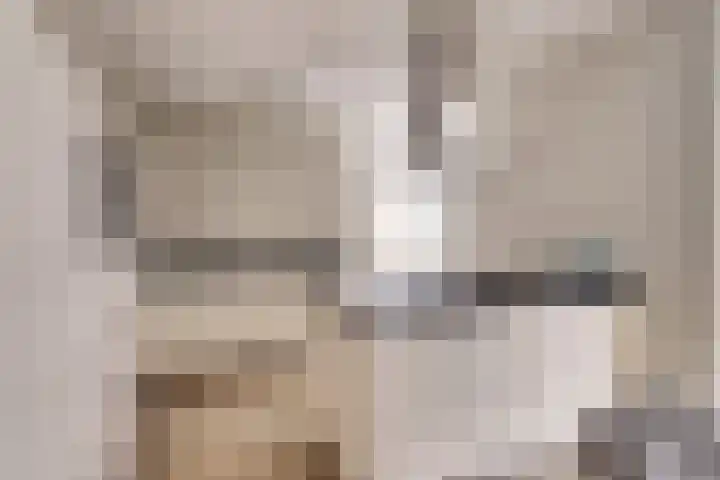 de Meren 1208 Wijchen thumbnail 11