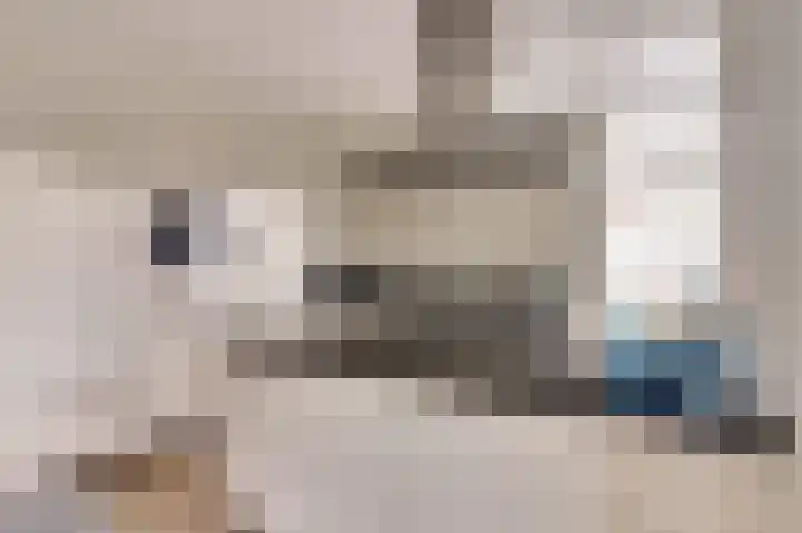 de Meren 1208 Wijchen thumbnail 12