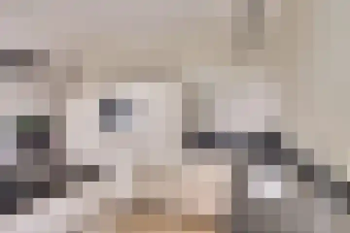 de Meren 1208 Wijchen thumbnail 14