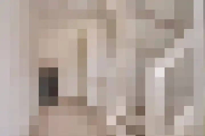 de Meren 1208 Wijchen thumbnail 18