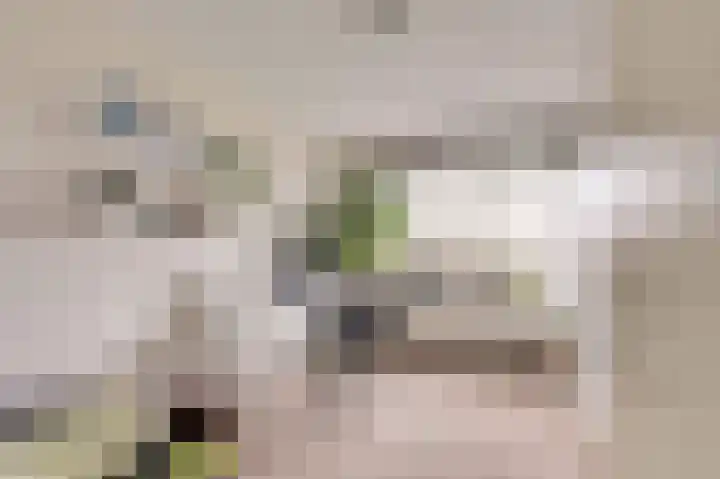 de Meren 1208 Wijchen thumbnail 22