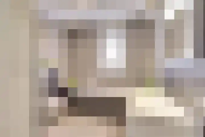 de Meren 1208 Wijchen thumbnail 24