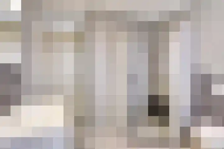 de Meren 1208 Wijchen thumbnail 25