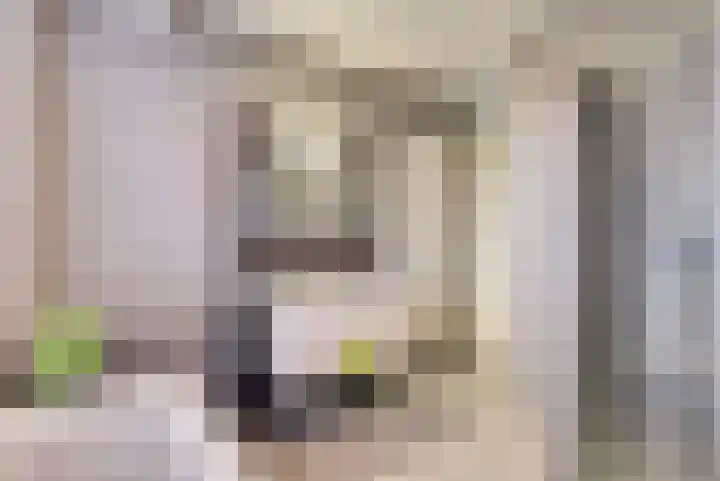 de Meren 1208 Wijchen thumbnail 26