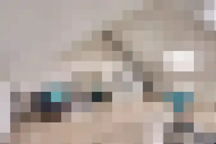 de Meren 1208 Wijchen thumbnail 27