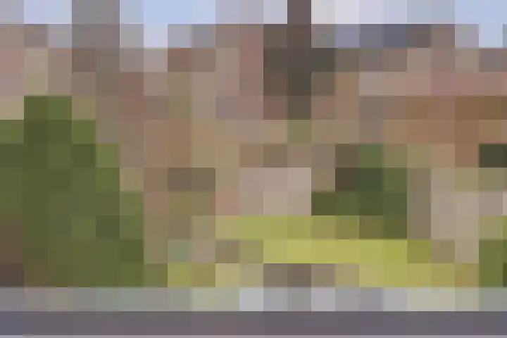 de Meren 1208 Wijchen thumbnail 32