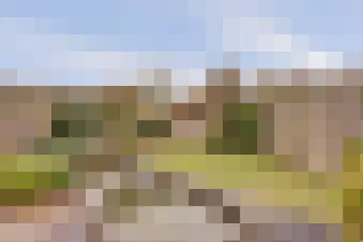 de Meren 1208 Wijchen thumbnail 34