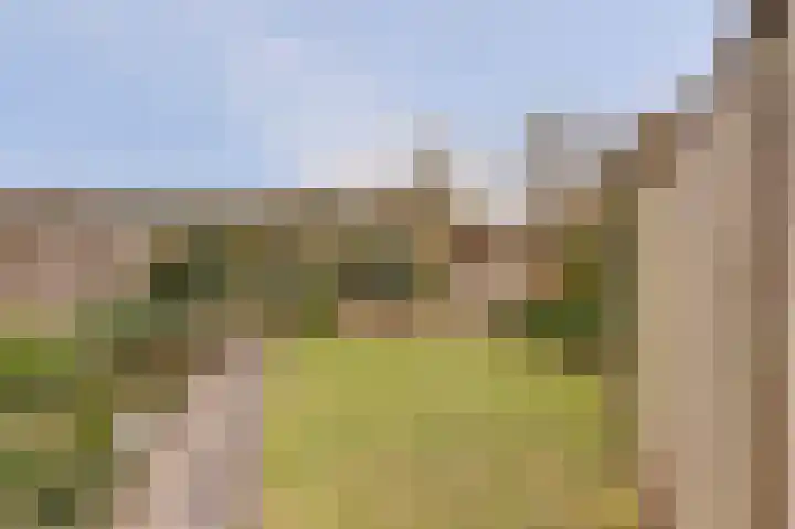 de Meren 1208 Wijchen thumbnail 35