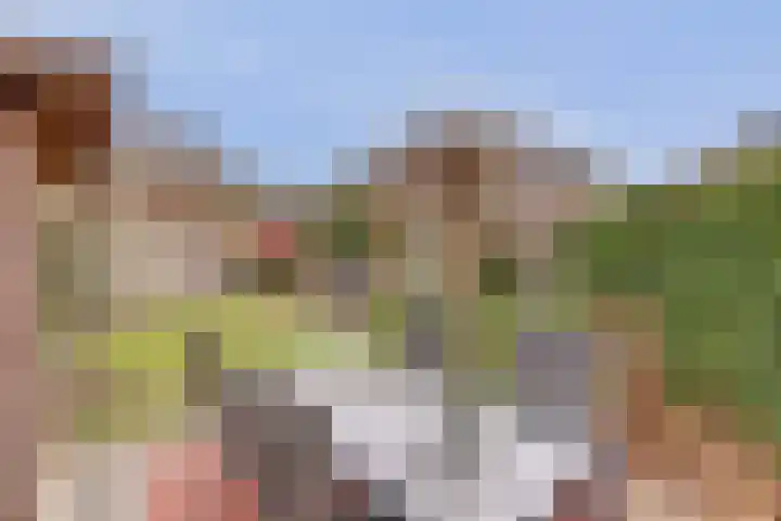 de Meren 1208 Wijchen thumbnail 36