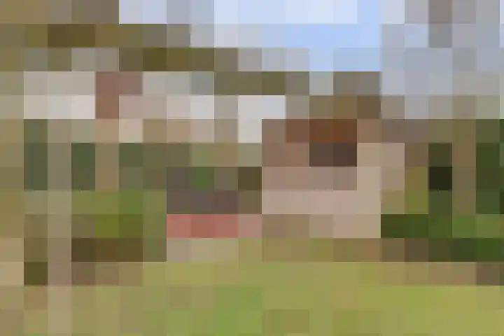 de Meren 1208 Wijchen thumbnail 37