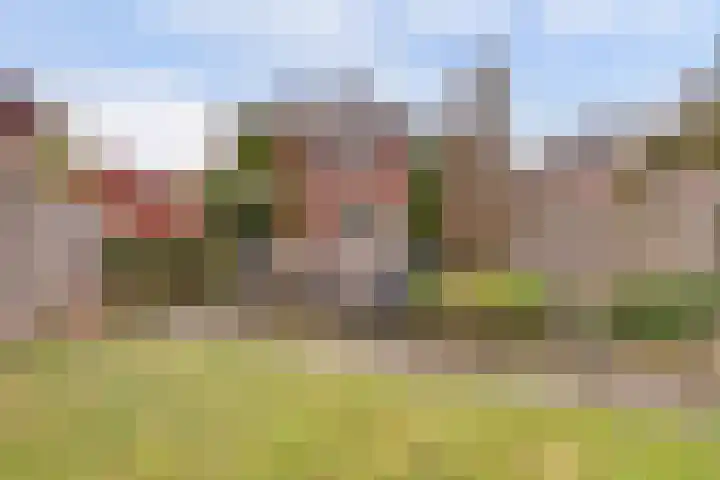 de Meren 1208 Wijchen thumbnail 38