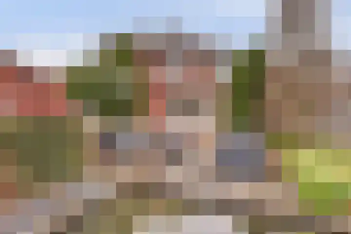 de Meren 1208 Wijchen thumbnail 39
