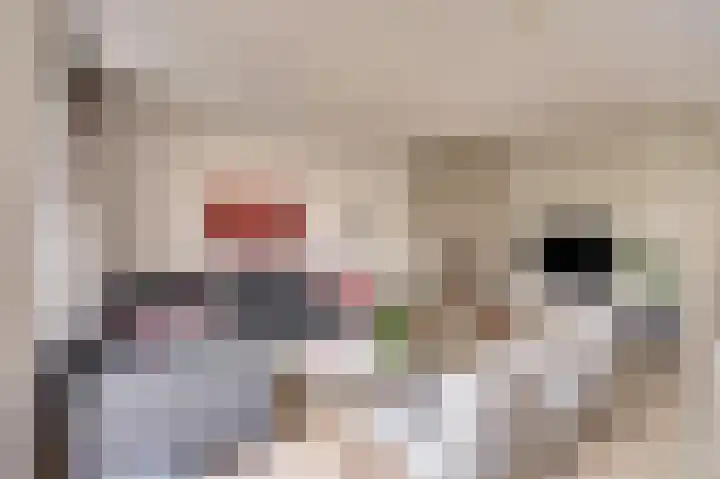 de Meren 1208 Wijchen thumbnail 4