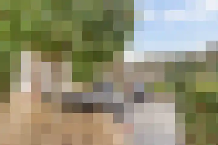 de Meren 1208 Wijchen thumbnail 40