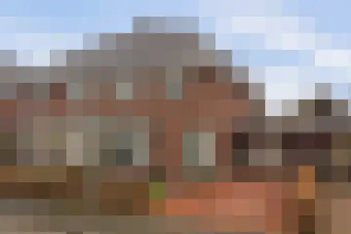 de Meren 1208 Wijchen thumbnail 41