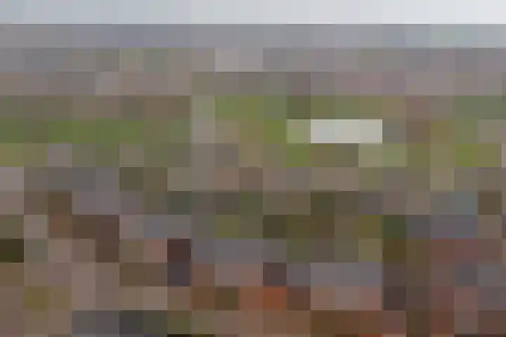 de Meren 1208 Wijchen thumbnail 44