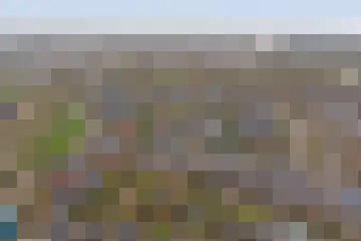 de Meren 1208 Wijchen thumbnail 45