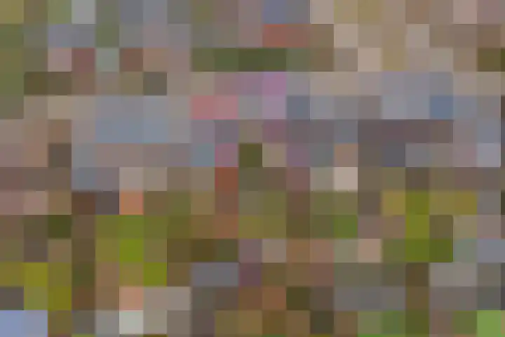de Meren 1208 Wijchen thumbnail 46