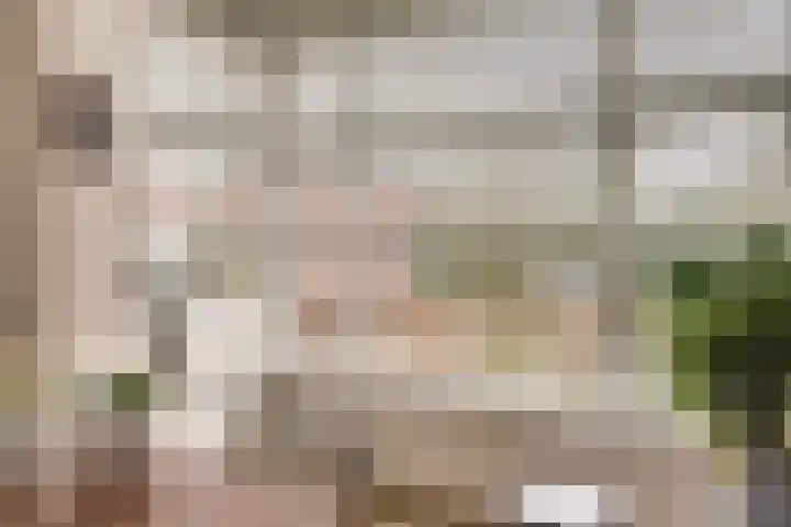 de Meren 1208 Wijchen thumbnail 9