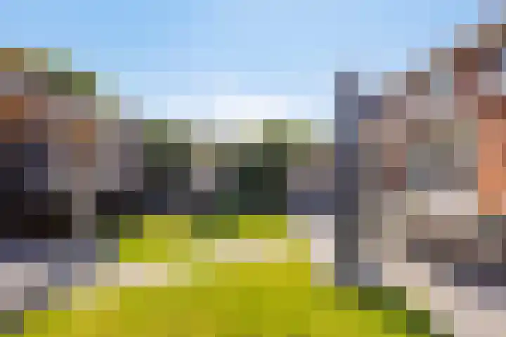 de Meren 1314 Wijchen thumbnail 28