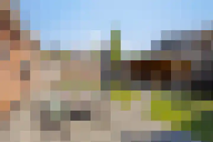 de Meren 1314 Wijchen thumbnail 29