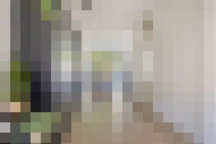 de Meren 1314 Wijchen thumbnail 7