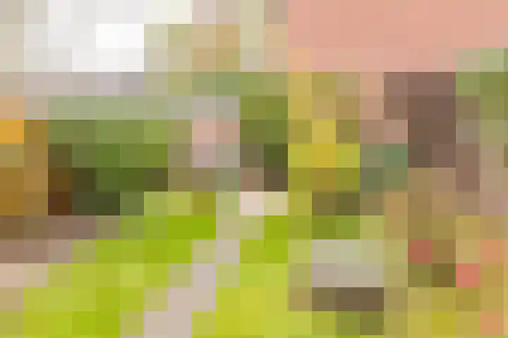De Merkis 25 Velsen-Zuid thumbnail 20