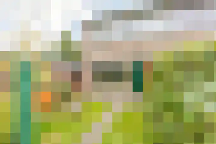 De Merkis 25 Velsen-Zuid thumbnail 21