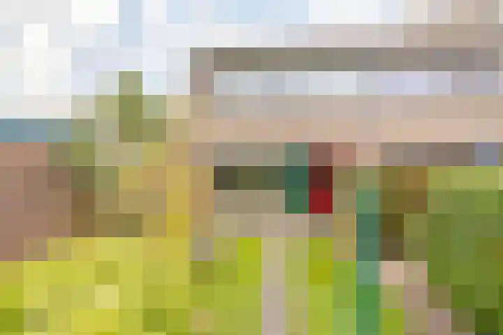 De Merkis 25 Velsen-Zuid thumbnail 22