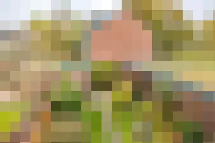 De Merkis 25 Velsen-Zuid thumbnail 30