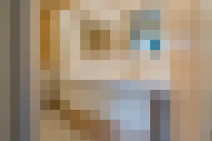 De Merkis 25 Velsen-Zuid thumbnail 31