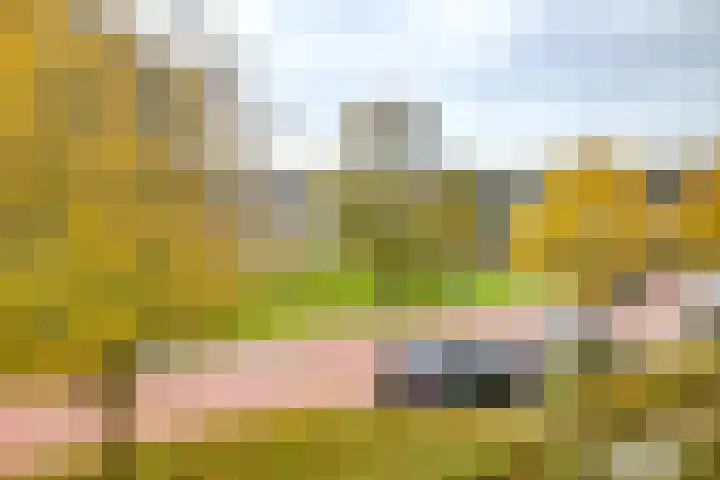 De Merkis 25 Velsen-Zuid thumbnail 36