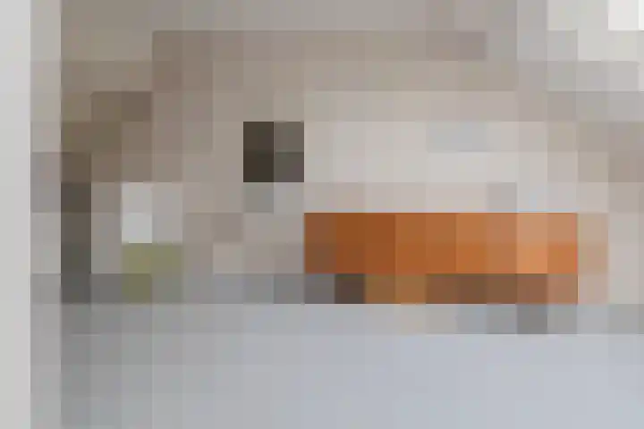 De Merkis 25 Velsen-Zuid thumbnail 38