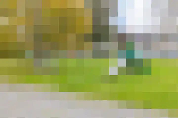 De Merkis 25 Velsen-Zuid thumbnail 4