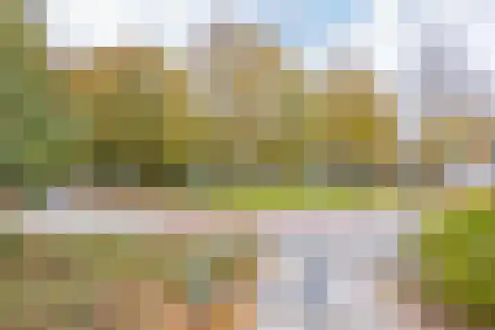 De Merkis 25 Velsen-Zuid thumbnail 41