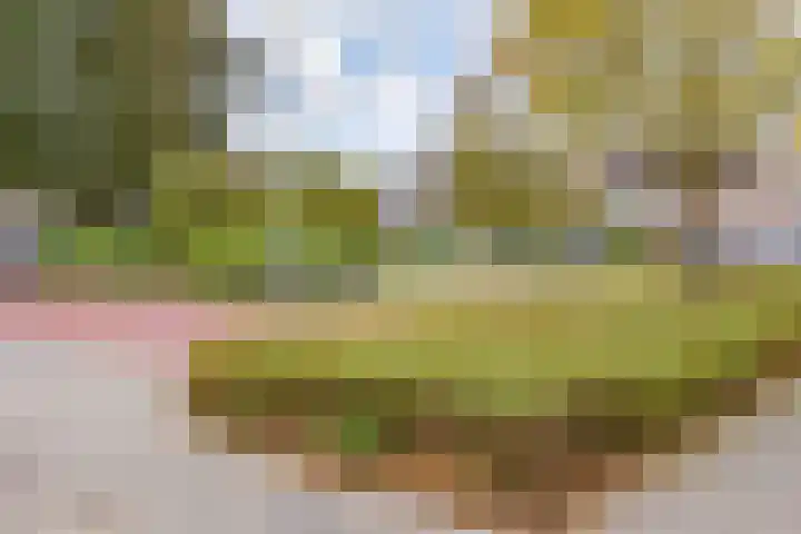 De Merkis 25 Velsen-Zuid thumbnail 42