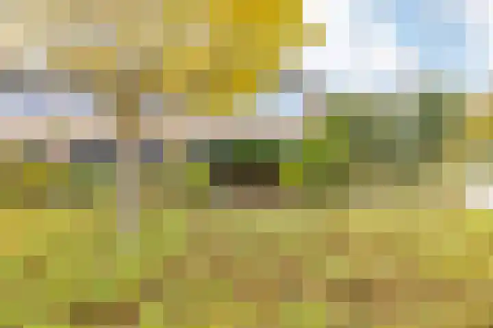 De Merkis 25 Velsen-Zuid thumbnail 6