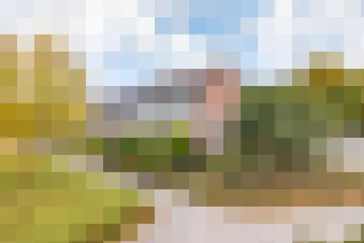 De Merkis 25 Velsen-Zuid thumbnail 7