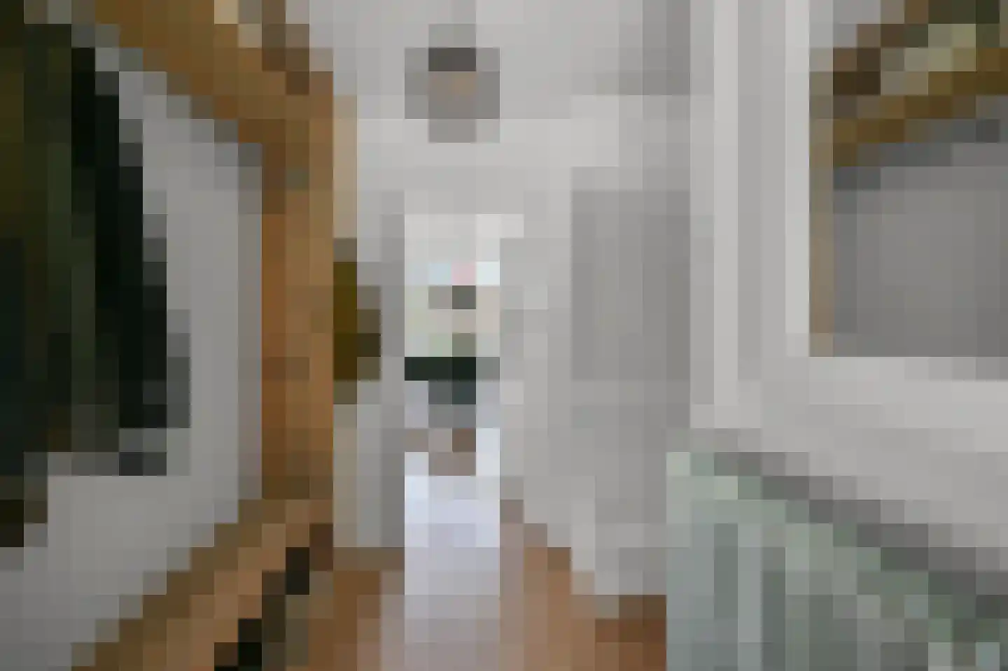 De Mérodelaan 3 Uithoorn thumbnail 15