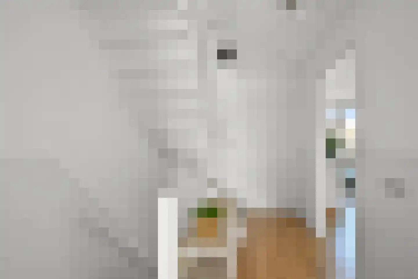 De Mérodelaan 3 Uithoorn thumbnail 27