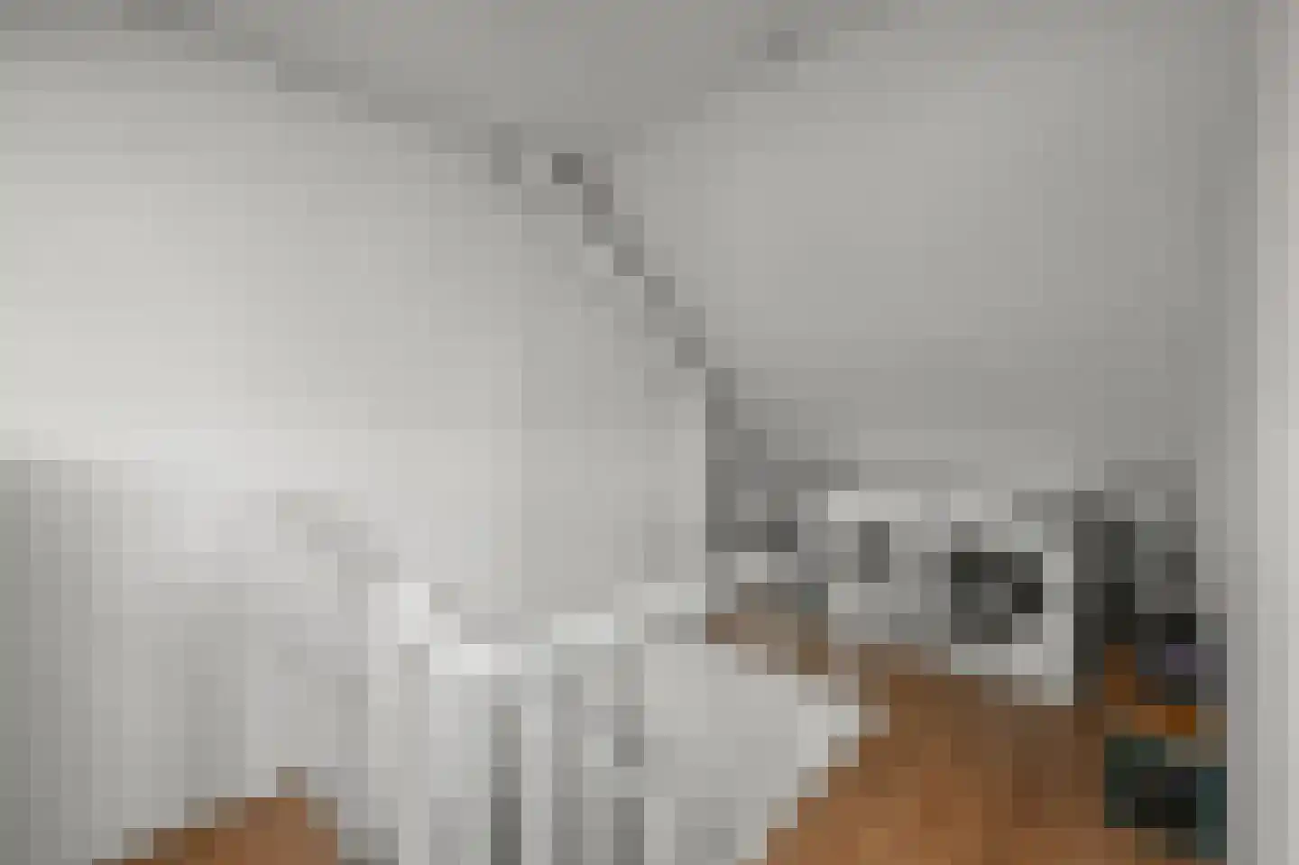 De Mérodelaan 3 Uithoorn thumbnail 29
