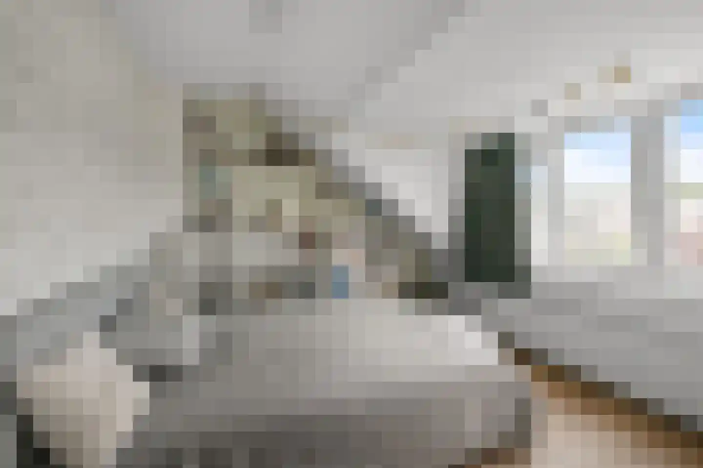 De Mérodelaan 3 Uithoorn thumbnail 31