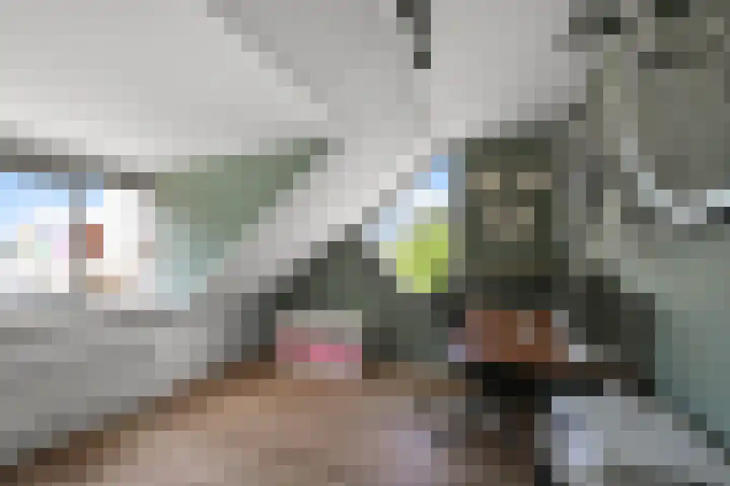 De Mérodelaan 3 Uithoorn thumbnail 33