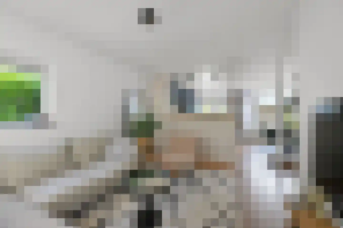 De Mérodelaan 3 Uithoorn thumbnail 4