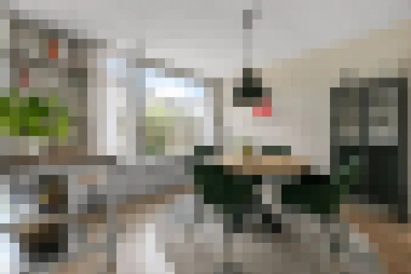 De Mérodelaan 3 Uithoorn thumbnail 8